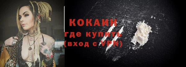 индика Коряжма