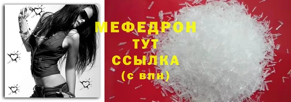 индика Коряжма