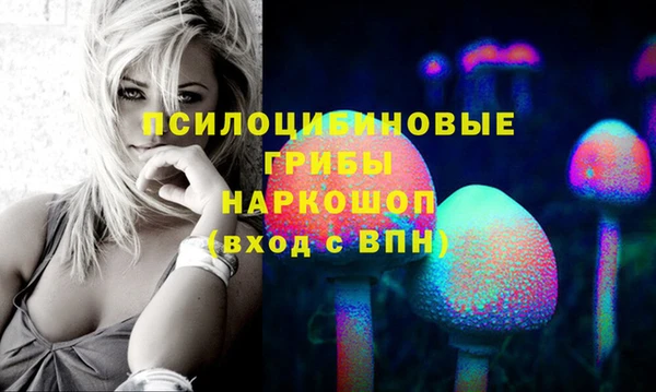 а пвп мука Козельск