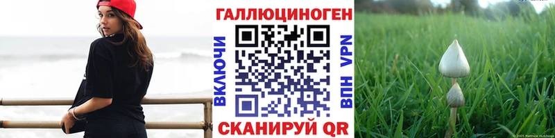 Галлюциногенные грибы мицелий  купить  цена  Кохма 