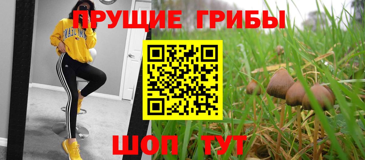 Кохма  Галлюциногенные грибы Cubensis  Галлюциногенные грибы мицелий  Вход с VPN 